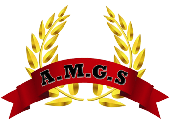 AMGS entreprise de sécurité et de gardiennage Marseille